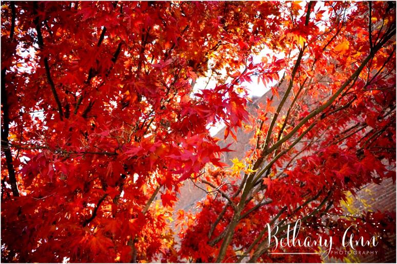 fall-bethany-ann-photography-love-enjoy-photography-clarksville-nashville-get-to-know-you-tn